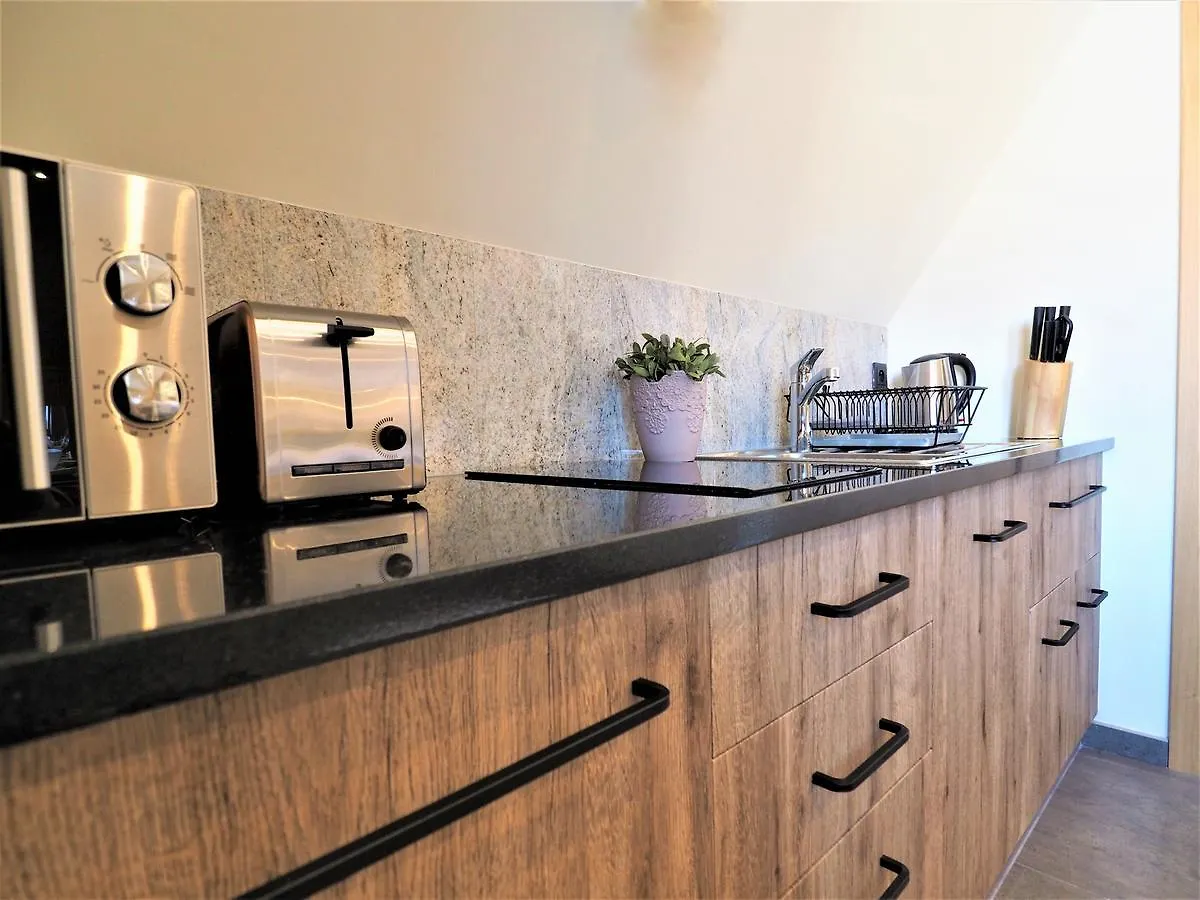 Vip Apartamenty Villa Górskie Klimaty Zakopane Polska